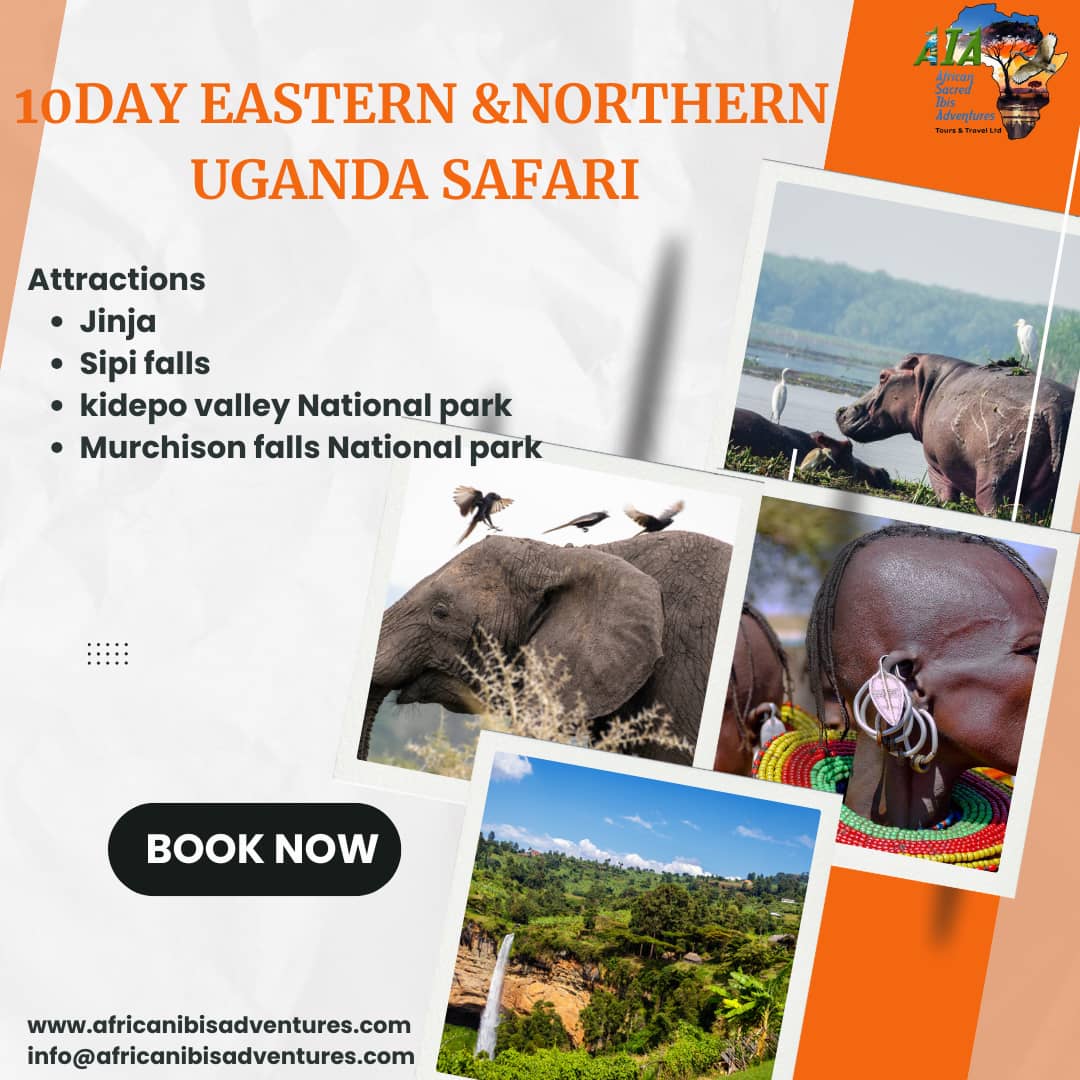 African Ibis Adventures