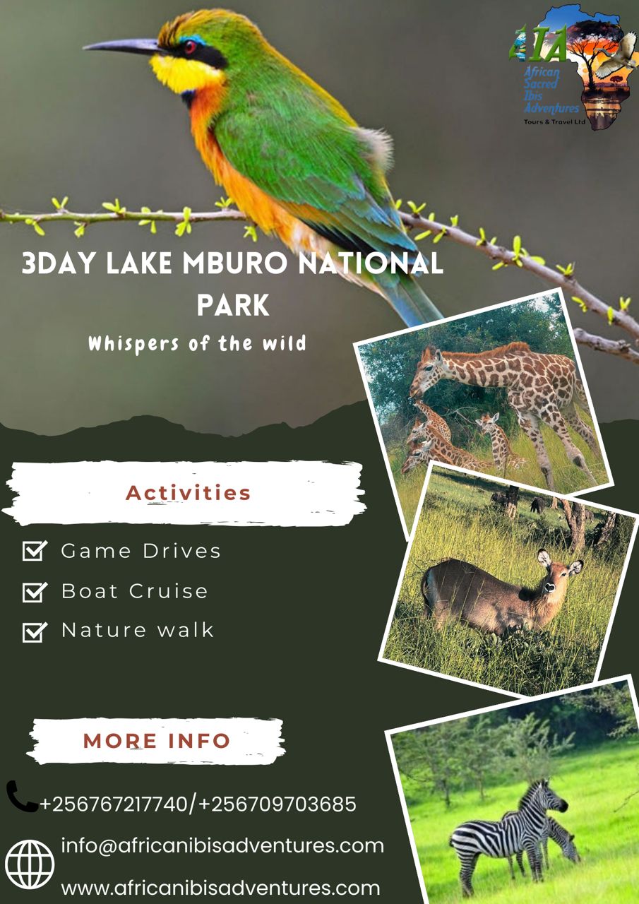 African Ibis Adventures