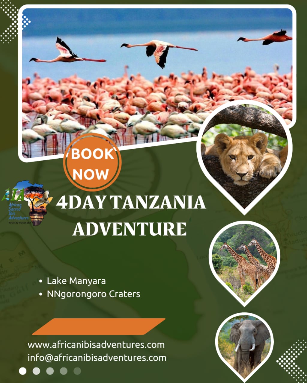 African Ibis Adventures