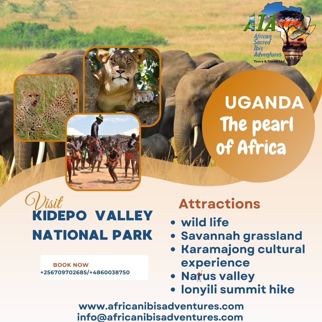 African Ibis Adventures