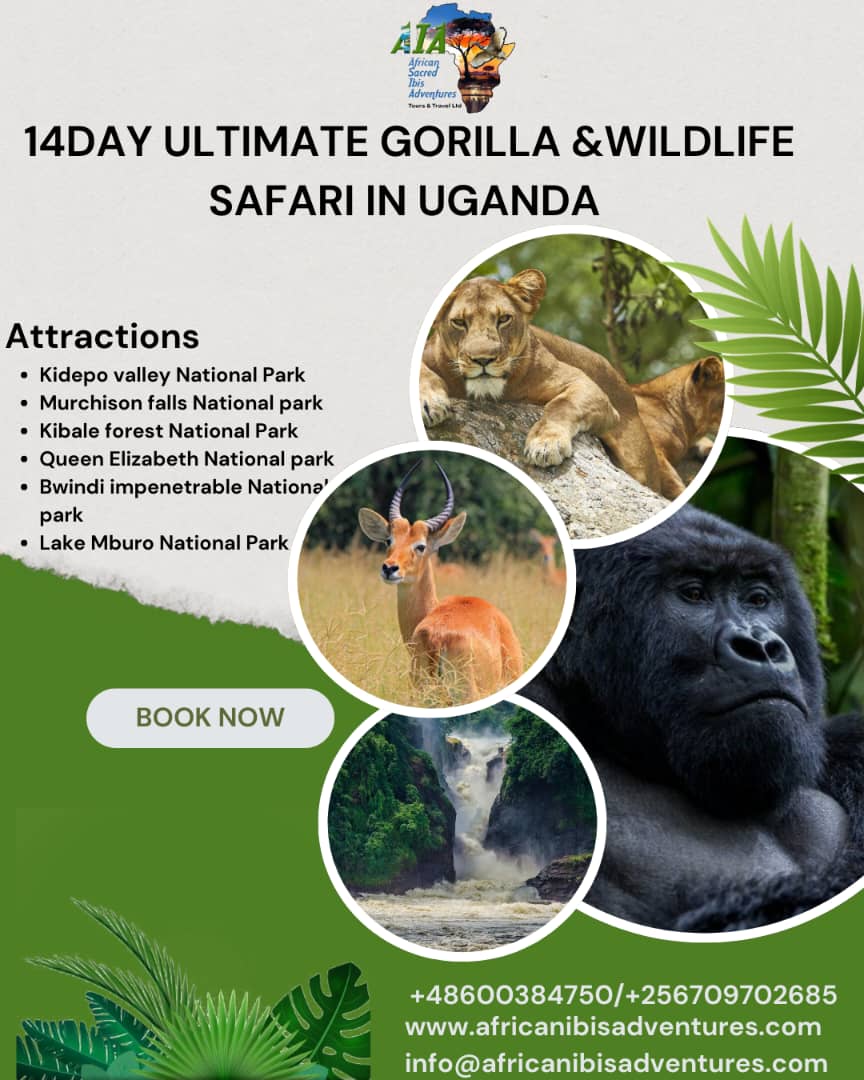 14-DAY ULTIMATE GORILLA & WILDLIFE SAFARI