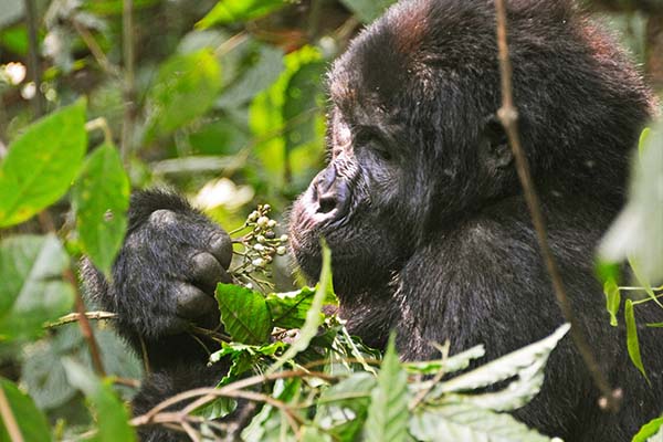 Lake Mburo National Park
